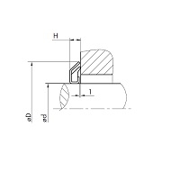 img/anelli_di_tenuta_assiale_vrm-01-fkm_dis_test__26.jpg